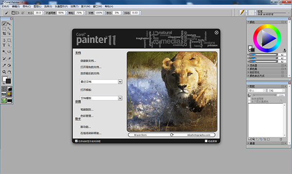 Corel Painter免费版